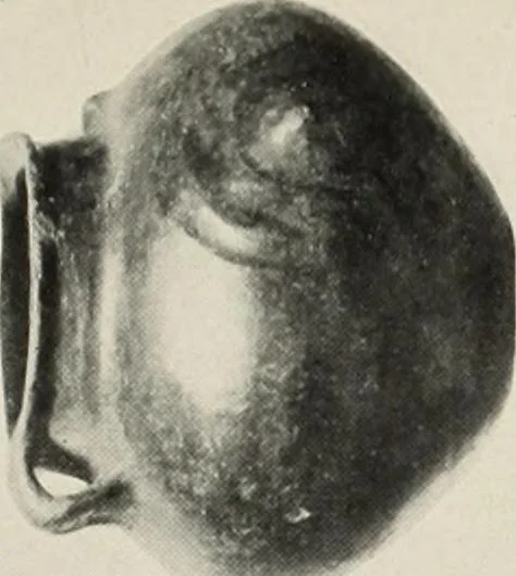An illustration from Catalogue of the Greek and Etruscan vases in the British Museum, 1893, leaf 332