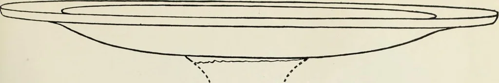 An illustration from Catalogue of the Greek and Etruscan vases in the British Museum, 1893, leaf 364