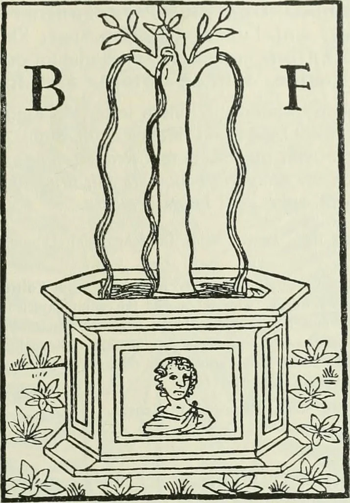 An illustration from Catalogue of an important library of rare and valuable books; incunabula typographica, mostly in original bindings; illustrated books of the XVIth and XVIIIth century; early Americana; Standard works on the fine arts; bibles and liturgical books; fine bindings; Judaica; early books on geography, etc., including Hypnerotomachia Poliphili, 1499; Schatzbehalter, 1491; Terentius, Venezia, 1497; Valturius, 1483; Dürers Hroswitha, Proportion a.o. Holbeins Dance of Death, 1538; The first Holbein Bible; Theuerdank, 1519; Monument du Costume; Janscha-Ziegler, Rheinansichten, etc, 1900, leaf 14