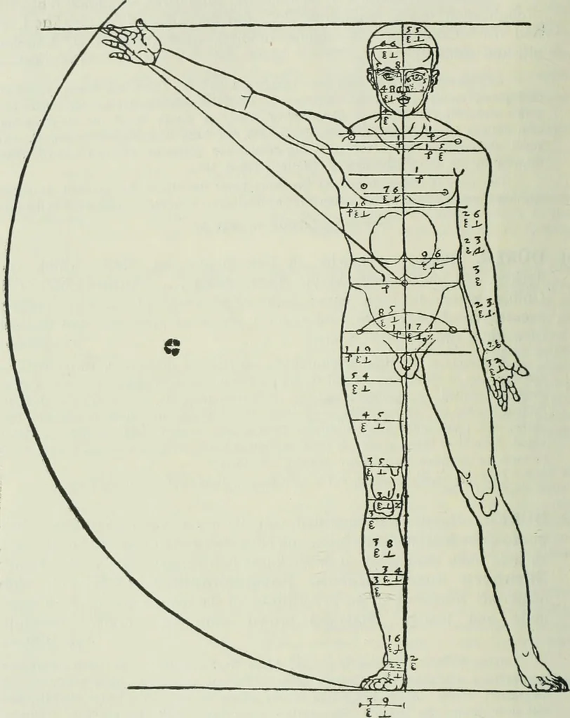 An illustration from Catalogue of an important library of rare and valuable books; incunabula typographica, mostly in original bindings; illustrated books of the XVIth and XVIIIth century; early Americana; Standard works on the fine arts; bibles and liturgical books; fine bindings; Judaica; early books on geography, etc., including Hypnerotomachia Poliphili, 1499; Schatzbehalter, 1491; Terentius, Venezia, 1497; Valturius, 1483; Dürers Hroswitha, Proportion a.o. Holbeins Dance of Death, 1538; The first Holbein Bible; Theuerdank, 1519; Monument du Costume; Janscha-Ziegler, Rheinansichten, etc, 1900, leaf 77