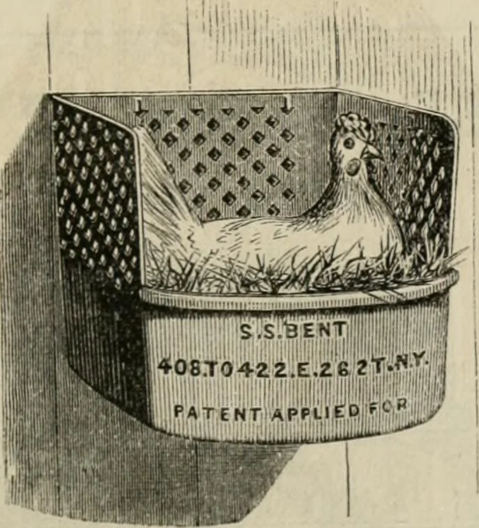 An illustration from Catalogue of improved and patented stable fittings and fixtures, brass, bronzed and nickel plated; poultry yard appliances, dog kennels, door and window guards, &c., &c., 1886, leaf 128