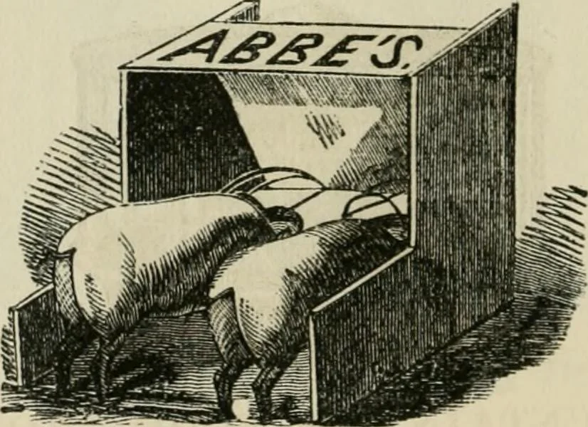 An illustration from Catalogue of improved and patented stable fittings and fixtures, brass, bronzed and nickel plated; poultry yard appliances, dog kennels, door and window guards, &c., &c., 1886, leaf 129