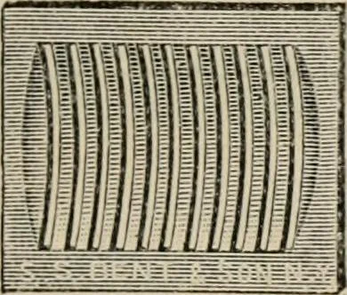 An illustration from Catalogue of improved and patented stable fittings and fixtures, brass, bronzed and nickel plated; poultry yard appliances, dog kennels, door and window guards, &c., &c., 1886, leaf 78