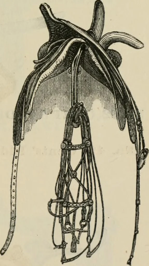 An illustration from Catalogue of improved and patented stable fittings and fixtures, brass, bronzed and nickel plated; poultry yard appliances, dog kennels, door and window guards, &c., &c., 1886, leaf 94