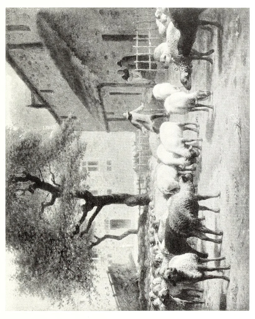 An illustration from Catalogue of the inaugural exhibition : January seventeenth to February twelfth An. Dni. MCMXII, 1912, leaf 203