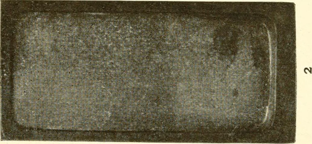 An illustration from Catalogue of Japanese artists' materials / Bunkio Matsuki., 1904, leaf 18
