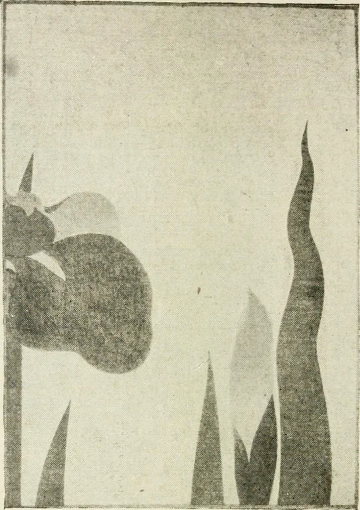 An illustration from Catalogue of Japanese artists' materials / Bunkio Matsuki., 1904, leaf 25