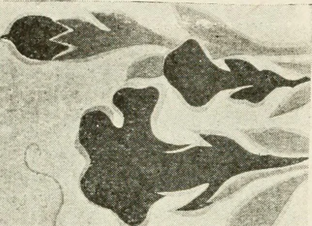 An illustration from Catalogue of Japanese artists' materials / Bunkio Matsuki., 1904, leaf 29