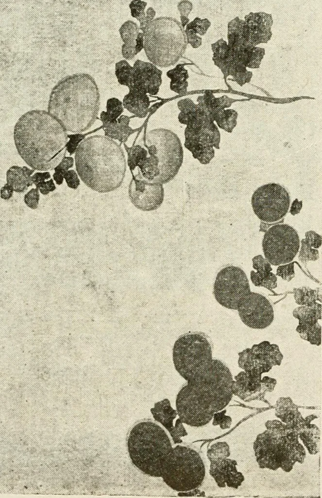 An illustration from Catalogue of Japanese artists' materials / Bunkio Matsuki., 1904, leaf 29