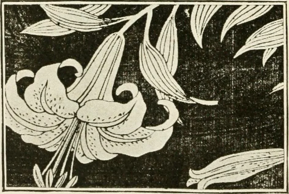 An illustration from Catalogue of Japanese artists' materials / Bunkio Matsuki., 1904, leaf 33