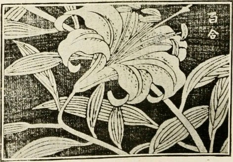 An illustration from Catalogue of Japanese artists' materials / Bunkio Matsuki., 1904, leaf 33