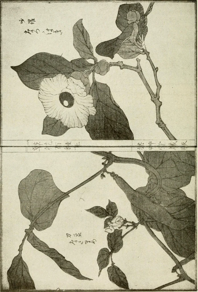 An illustration from Catalogue of Japanese artists' materials / Bunkio Matsuki., 1904, leaf 35