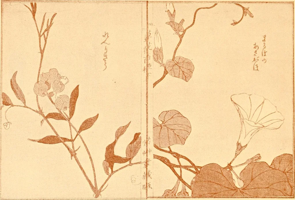 An illustration from Catalogue of Japanese artists' materials / Bunkio Matsuki., 1908, leaf 11