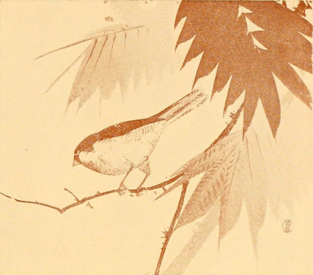 An illustration from Catalogue of Japanese artists' materials / Bunkio Matsuki., 1908, leaf 12