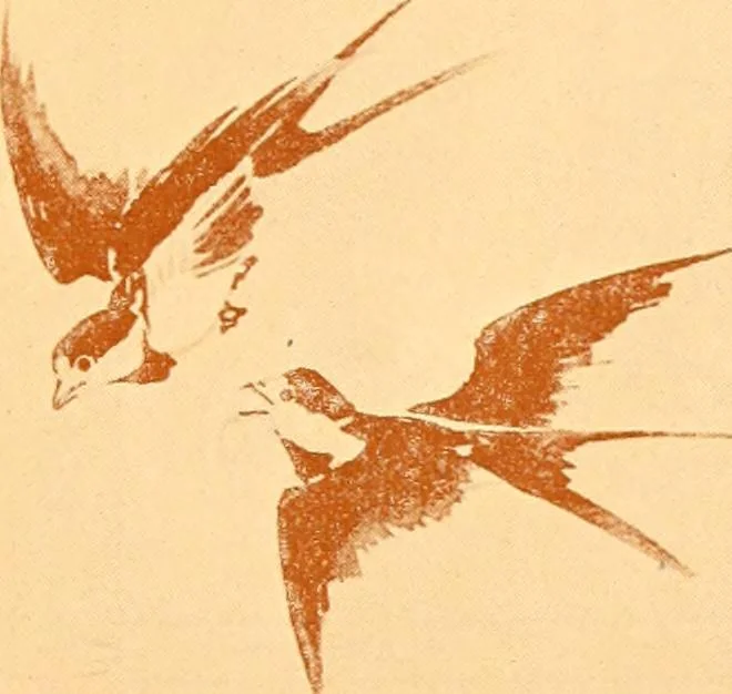 An illustration from Catalogue of Japanese artists' materials / Bunkio Matsuki., 1908, leaf 14