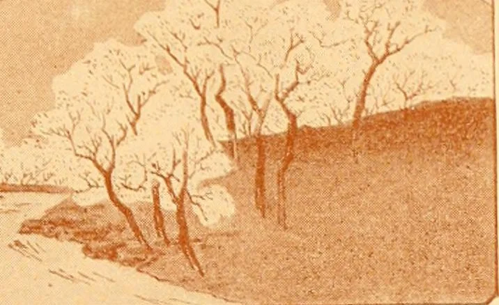 An illustration from Catalogue of Japanese artists' materials / Bunkio Matsuki., 1908, leaf 22
