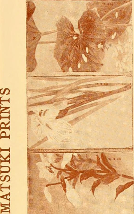 An illustration from Catalogue of Japanese artists' materials / Bunkio Matsuki., 1908, leaf 28