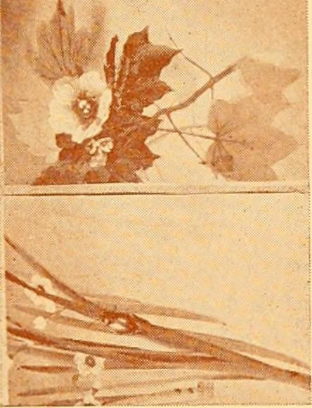 An illustration from Catalogue of Japanese artists' materials / Bunkio Matsuki., 1908, leaf 28