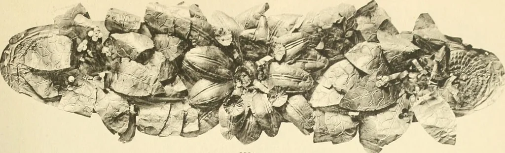An illustration from Catalogue of the jewellery, Greek, Etruscan, and Roman, in the departments of antiquities, British Museum, 1911, leaf 566
