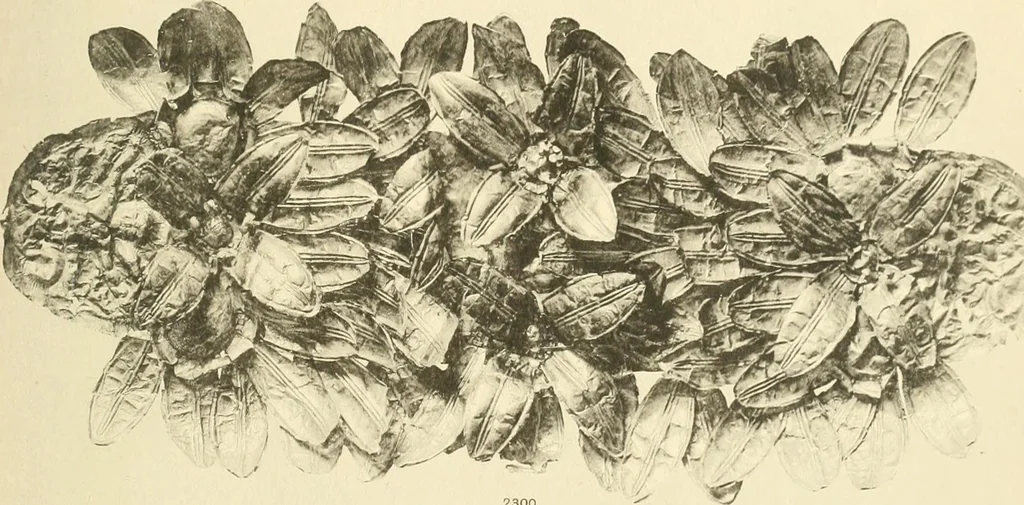 An illustration from Catalogue of the jewellery, Greek, Etruscan, and Roman, in the departments of antiquities, British Museum, 1911, leaf 566
