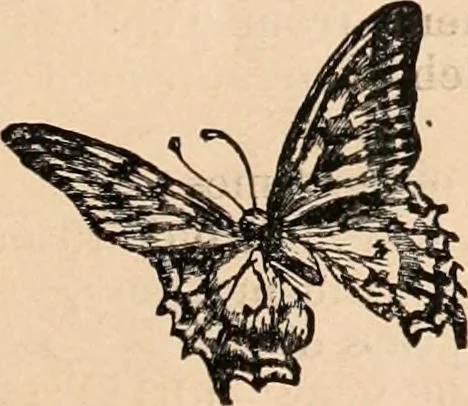 An illustration from Catalogue of the loan art and historic exhibition, at the Walker Mansion, Oakland, May 11-15, 1880, 1880, leaf 56