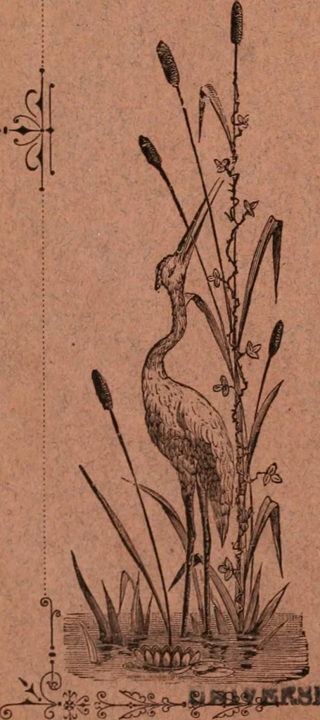 An illustration from Catalogue of the loan art and historic exhibition, at the Walker Mansion, Oakland, May 11-15, 1880, 1880, leaf 67