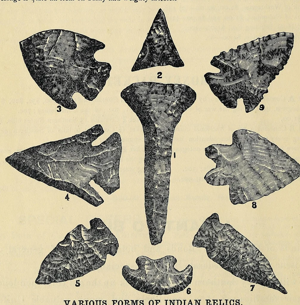 An illustration from Catalogue of old coins, stamps, curios, 1890, leaf 24