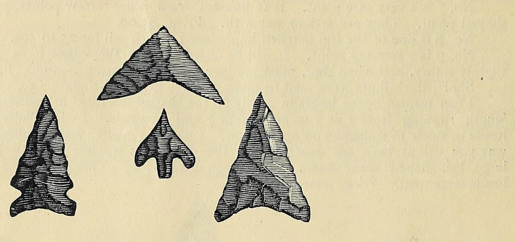 An illustration from Catalogue of old coins, stamps, curios, 1890, leaf 26