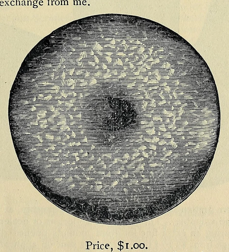 An illustration from Catalogue of old coins, stamps, curios, 1890, leaf 27