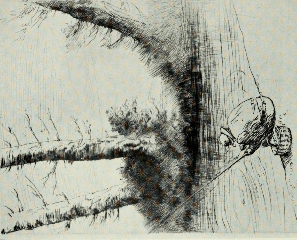 An illustration from A catalogue of paintings, drawings, etchings and lithographs, 1922, leaf 119