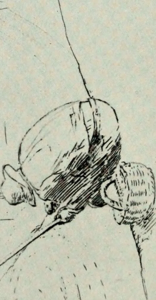 An illustration from A catalogue of paintings, drawings, etchings and lithographs, 1922, leaf 119