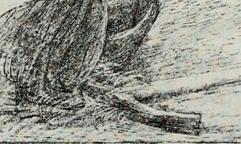 An illustration from A catalogue of paintings, drawings, etchings and lithographs, 1922, leaf 140
