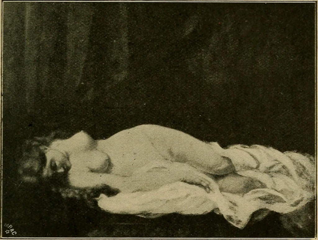 An illustration from Catalogue of the pictures, drawings, etchings and objects of art, 1906, leaf 28
