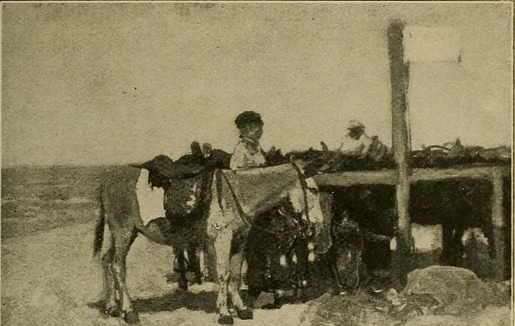 An illustration from Catalogue of the pictures, drawings, etchings and objects of art, 1906, leaf 56