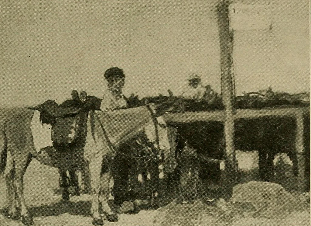 An illustration from Catalogue of the pictures, drawings, etchings and objects of art, 1910, leaf 56