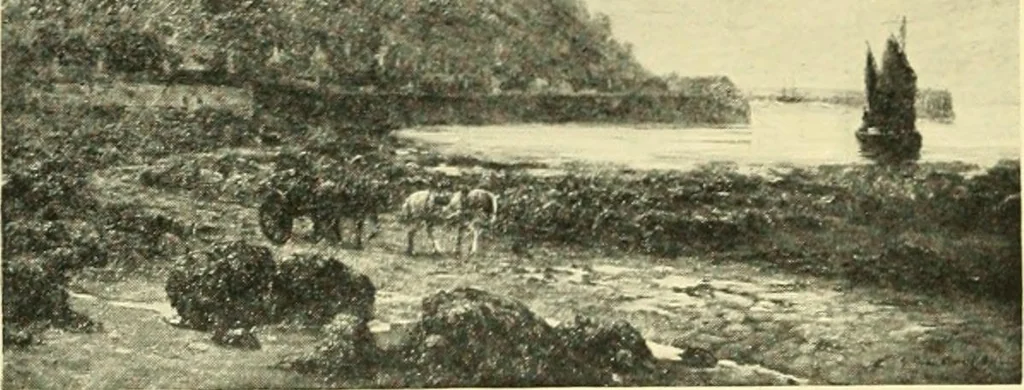 An illustration from Catalogue of pictures and sculpture given by Canadian artists in aid of the patriotic fund ... Toronto, December the thirtieth, nineteen-fourteen, 1914, leaf 25