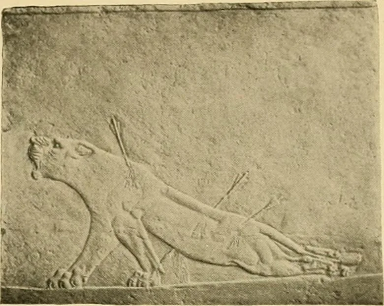 An illustration from Catalogue of plaster cast reproductions from antique, medieval and modern sculpture : subjects for art schools., 1901, leaf 102