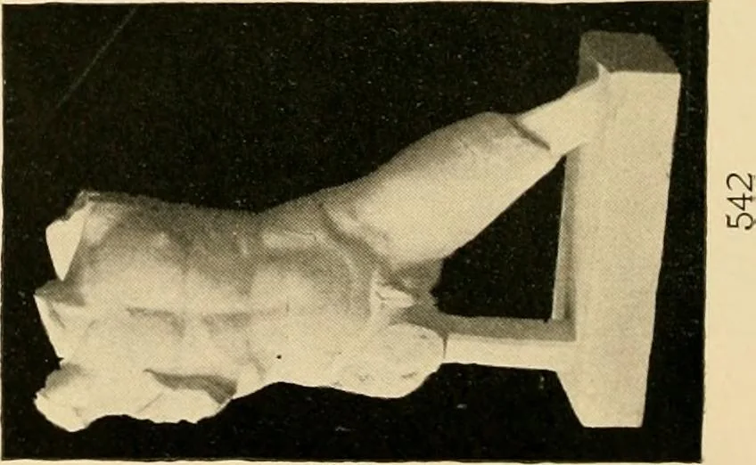 An illustration from Catalogue of plaster cast reproductions from antique, medieval and modern sculpture : subjects for art schools., 1901, leaf 121