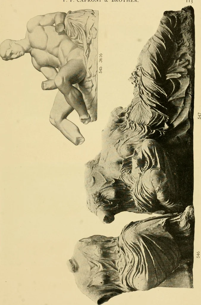 An illustration from Catalogue of plaster cast reproductions from antique, medieval and modern sculpture : subjects for art schools., 1901, leaf 122