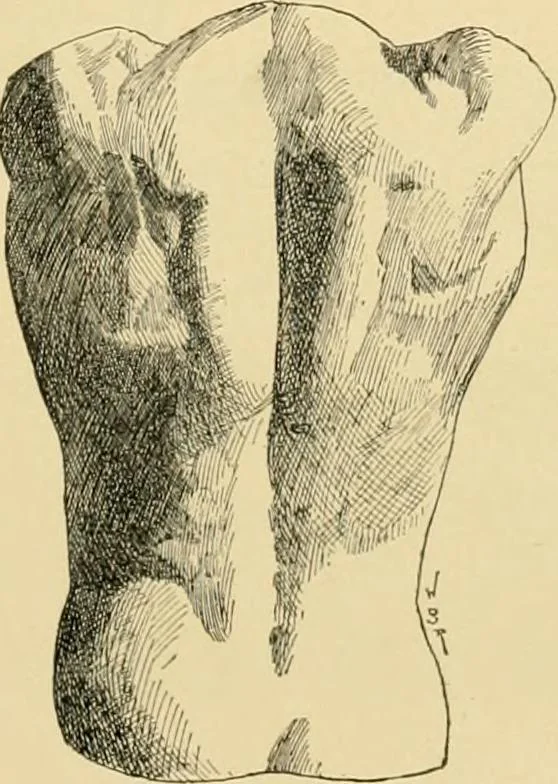 An illustration from Catalogue of plaster cast reproductions from antique, medieval and modern sculpture : subjects for art schools., 1901, leaf 136