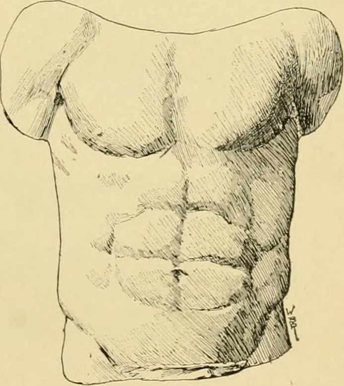 An illustration from Catalogue of plaster cast reproductions from antique, medieval and modern sculpture : subjects for art schools., 1901, leaf 136