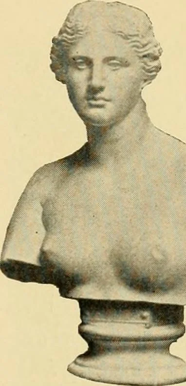 An illustration from Catalogue of plaster cast reproductions from antique, medieval and modern sculpture : subjects for art schools., 1901, leaf 140