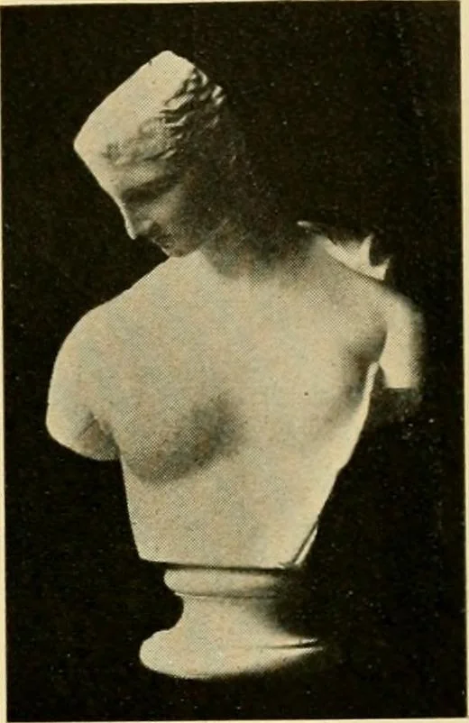 An illustration from Catalogue of plaster cast reproductions from antique, medieval and modern sculpture : subjects for art schools., 1901, leaf 142