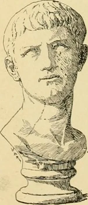 An illustration from Catalogue of plaster cast reproductions from antique, medieval and modern sculpture : subjects for art schools., 1901, leaf 142