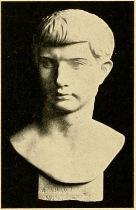 An illustration from Catalogue of plaster cast reproductions from antique, medieval and modern sculpture : subjects for art schools., 1901, leaf 143