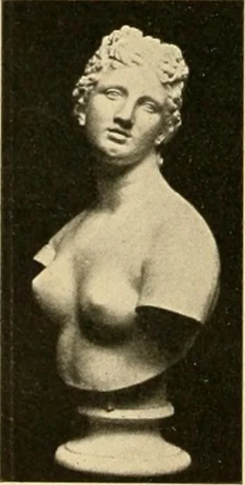 An illustration from Catalogue of plaster cast reproductions from antique, medieval and modern sculpture : subjects for art schools., 1901, leaf 143