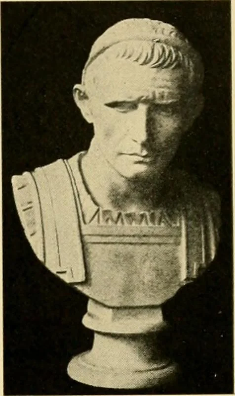 An illustration from Catalogue of plaster cast reproductions from antique, medieval and modern sculpture : subjects for art schools., 1901, leaf 144
