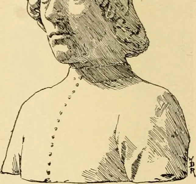 An illustration from Catalogue of plaster cast reproductions from antique, medieval and modern sculpture : subjects for art schools., 1901, leaf 149