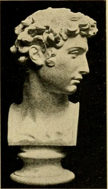 An illustration from Catalogue of plaster cast reproductions from antique, medieval and modern sculpture : subjects for art schools., 1901, leaf 150