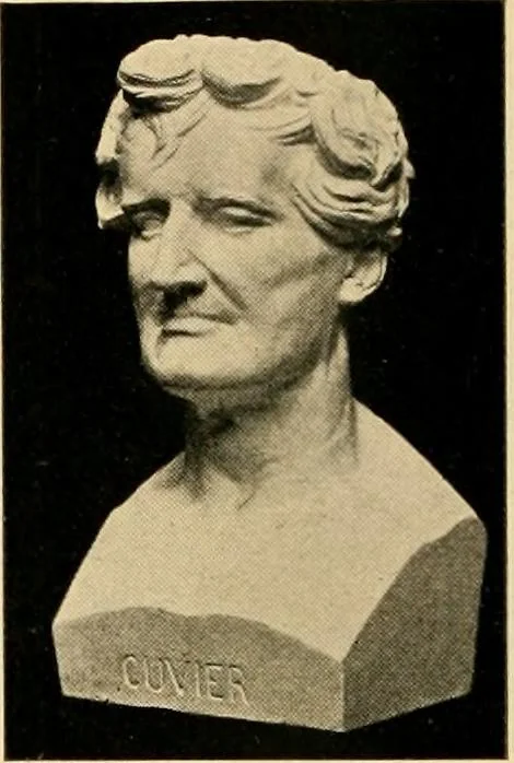 An illustration from Catalogue of plaster cast reproductions from antique, medieval and modern sculpture : subjects for art schools., 1901, leaf 157